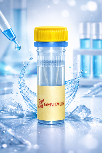 [SK1640] N-Acetylneuraminic Acid Aldolase